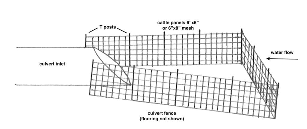 Culvert fencing Image of fencing structure that prevents a beaver from damming a culvert