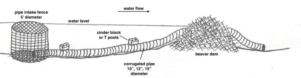 Pond leveler image of structure (pond leveler) that regulates the water level of ponds created by beaver dams