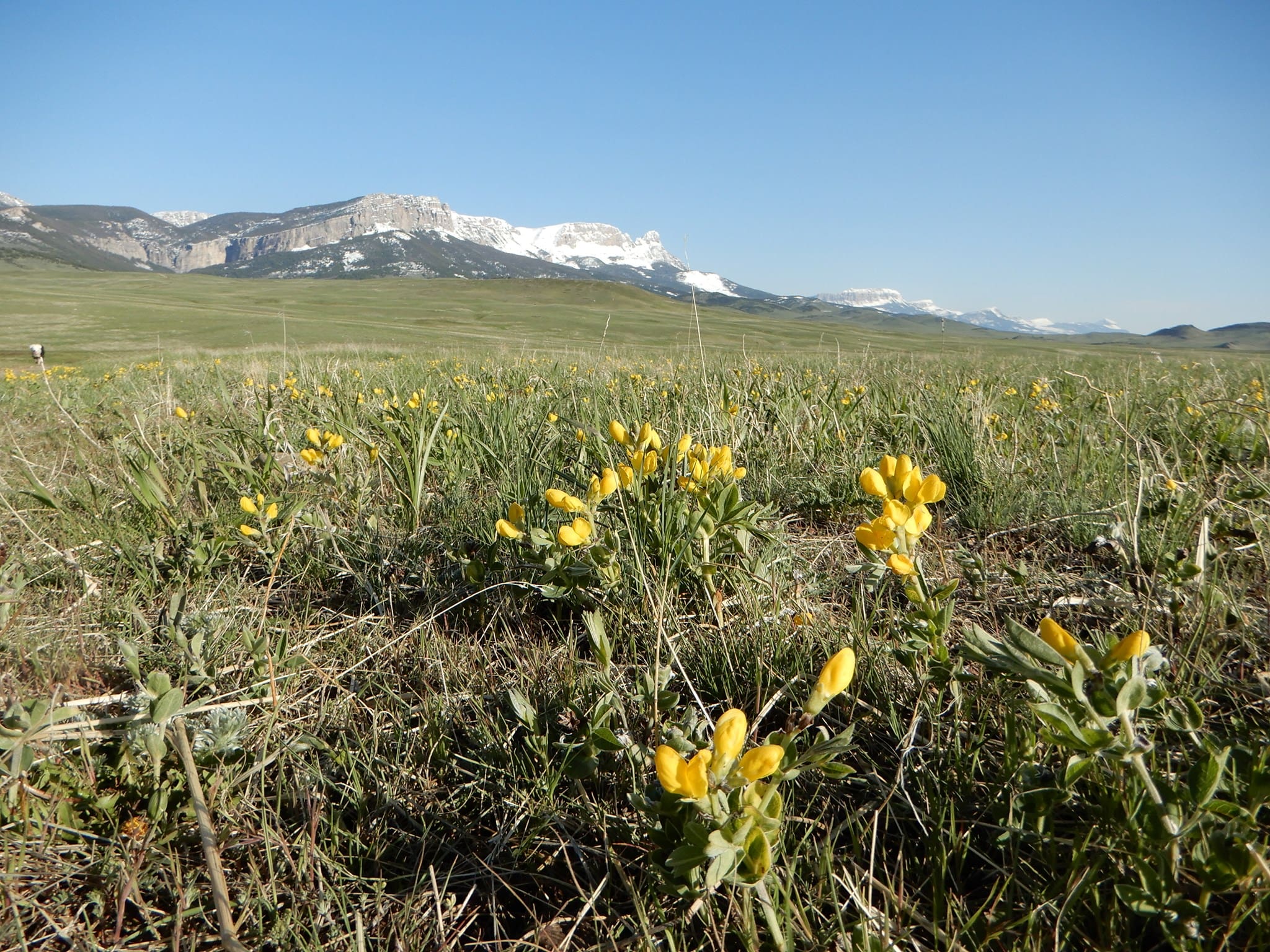Rocky Mountain Front